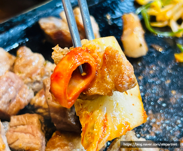 김치부루스 이미지