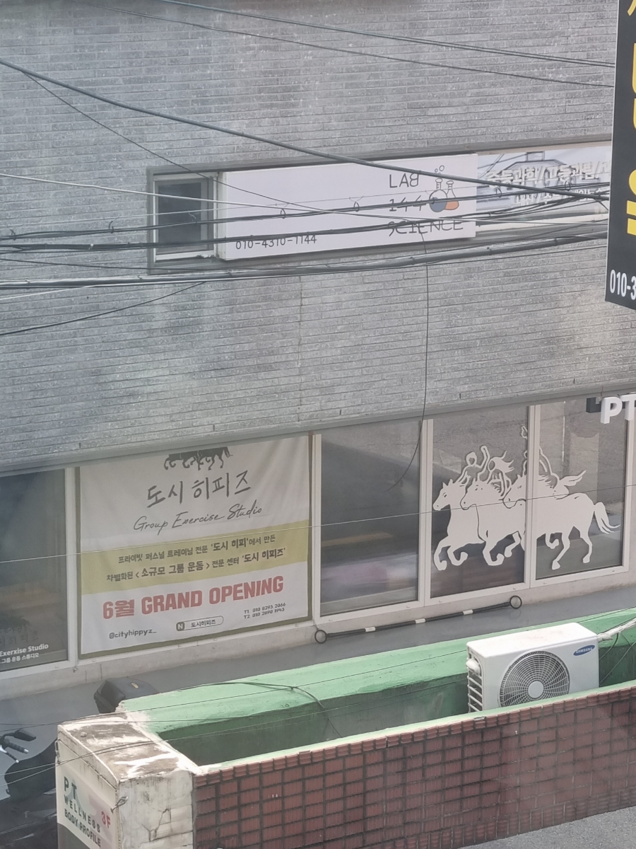 도시히피즈 이미지