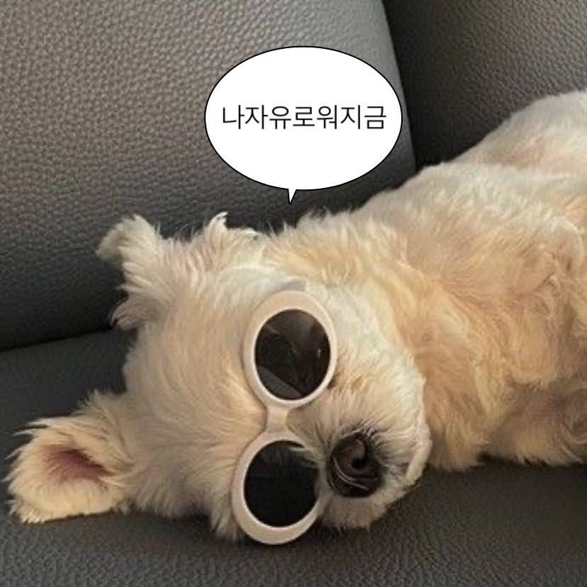 백스트리트 이미지