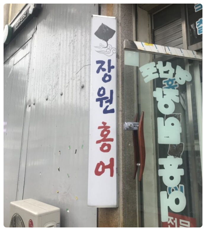 203홍어 이미지
