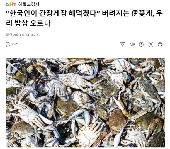 꽃게나라 이미지