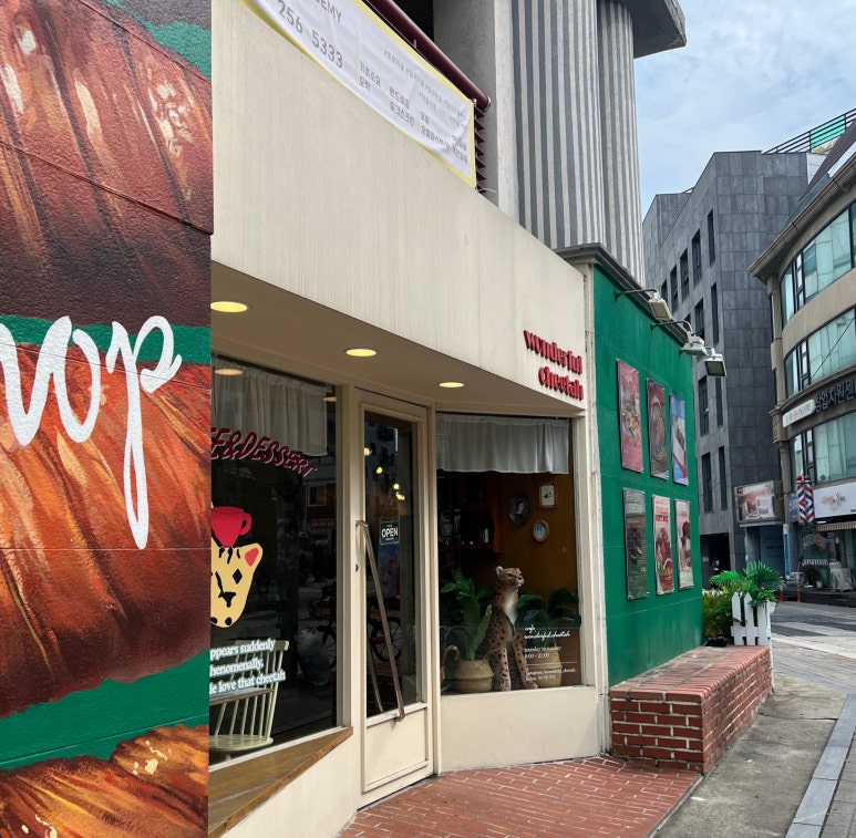 원더풀치타 이미지