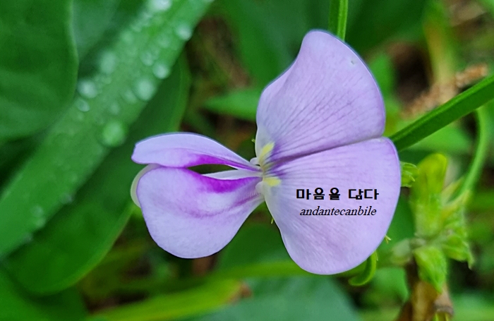 돈불랑 이미지