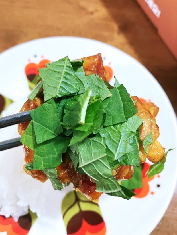 코리엔탈깻잎두마리치킨(평촌2호점) 이미지