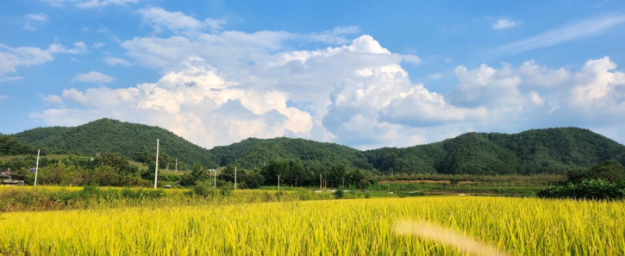망와고택 이미지