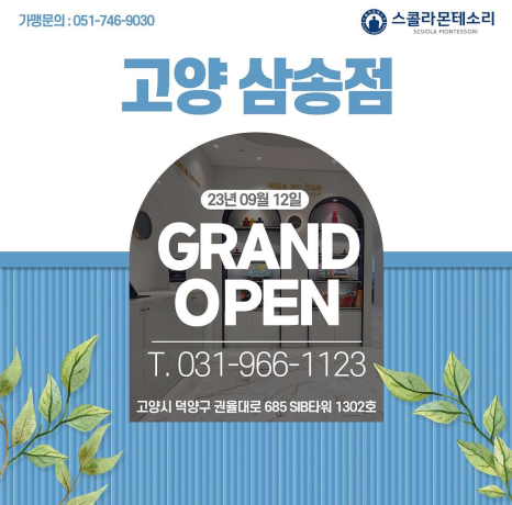 스콜라몬테소리고양 이미지
