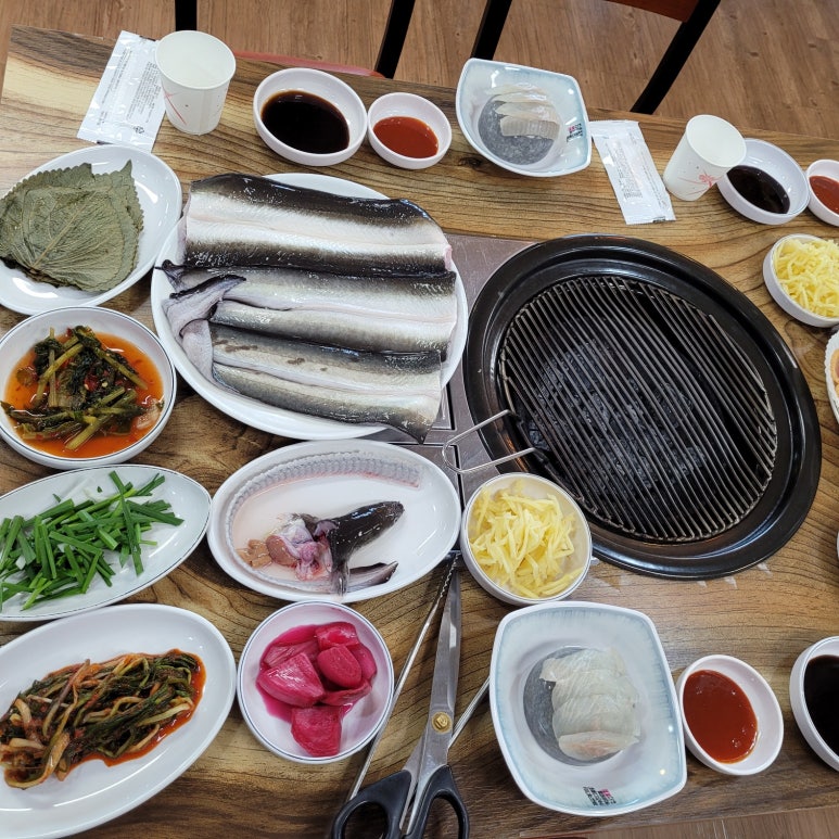 싱싱장어 이미지