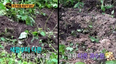 에덴생활 이미지