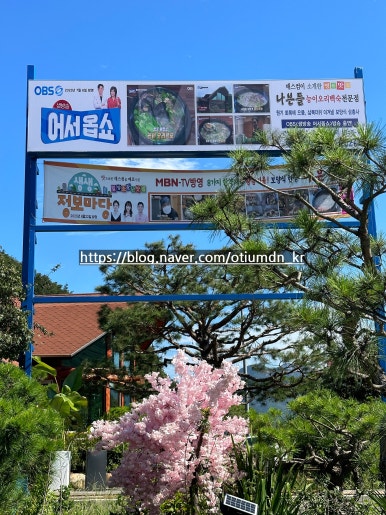 나븐들닭칼국수 이미지
