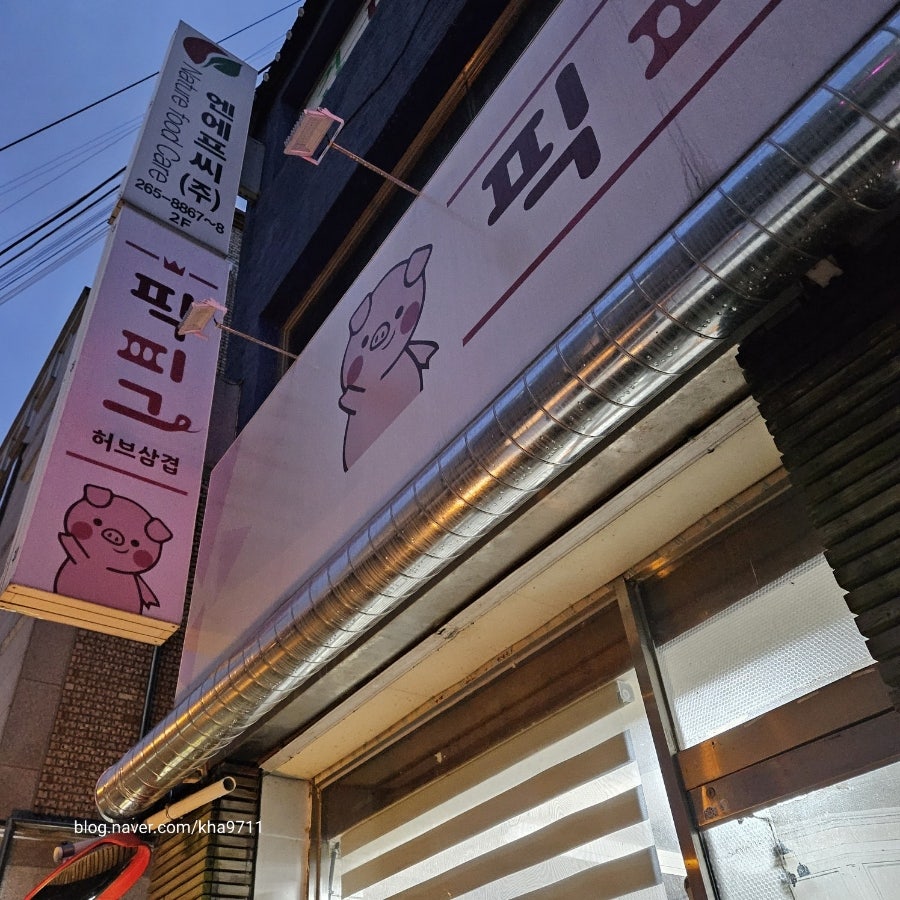 픽피그 이미지