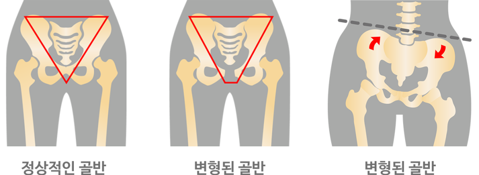 성모Y마취통증의학과의원 이미지