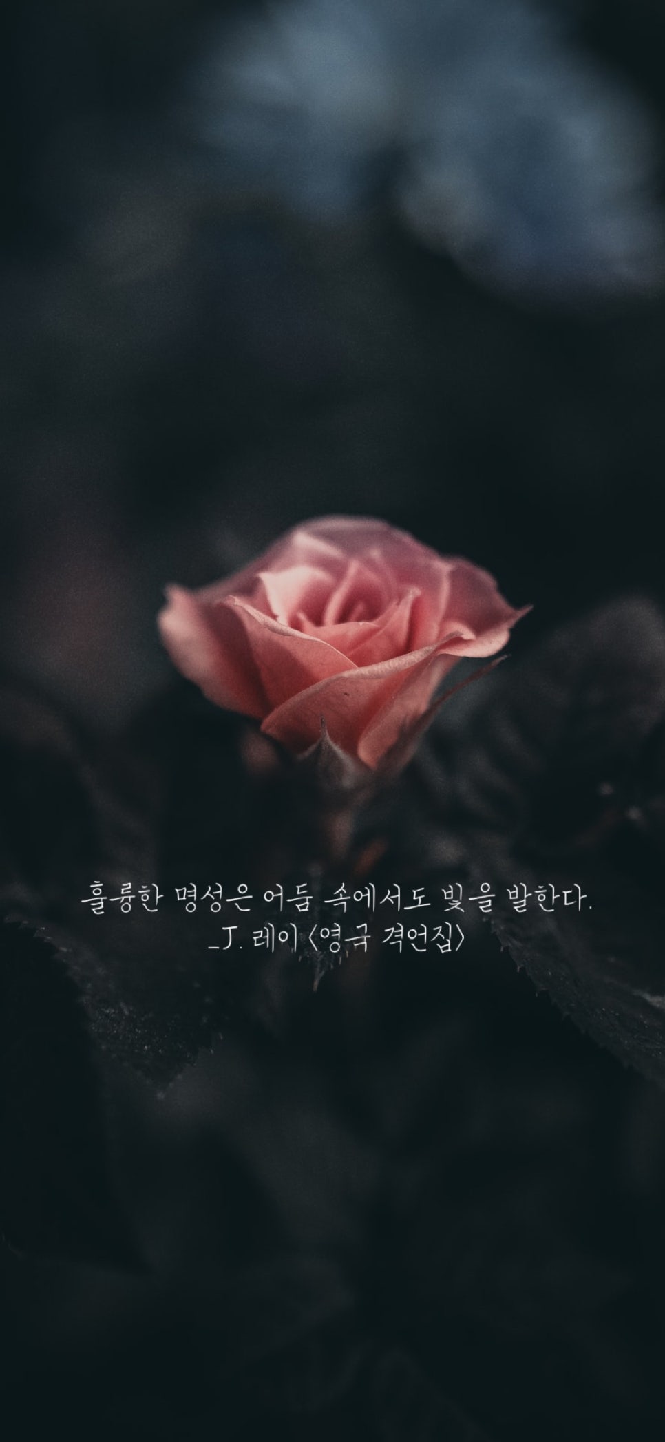 명성레스 이미지