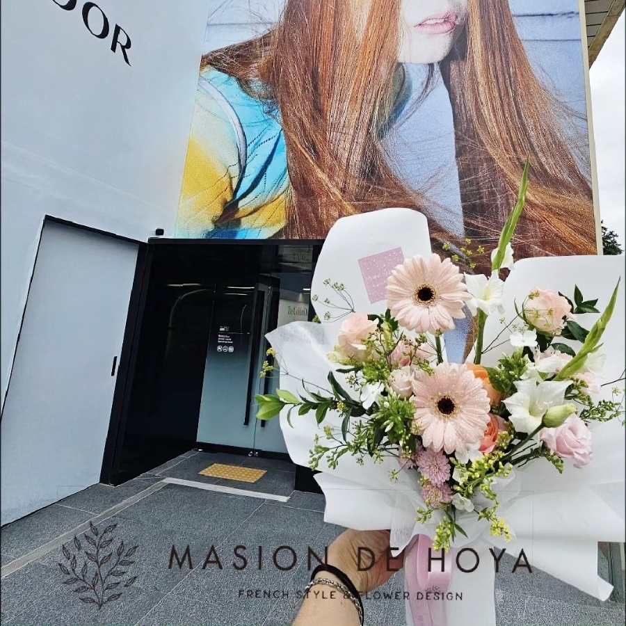 메종드호야 이미지