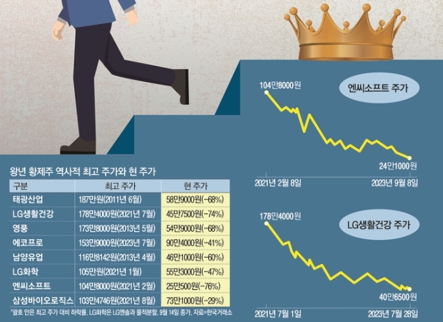 황제전자 이미지