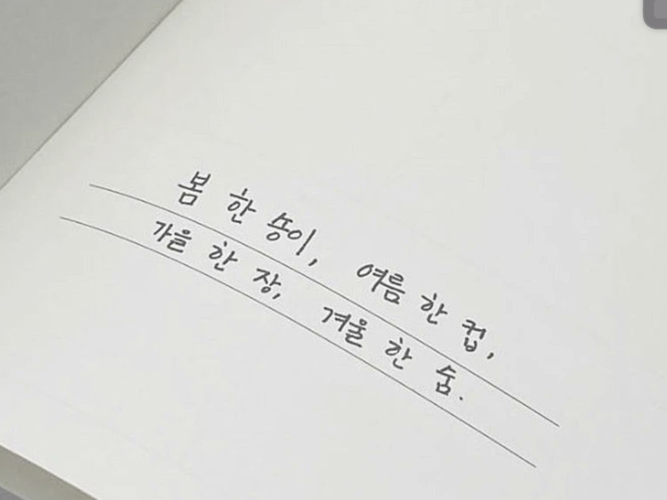 보리수카페 이미지