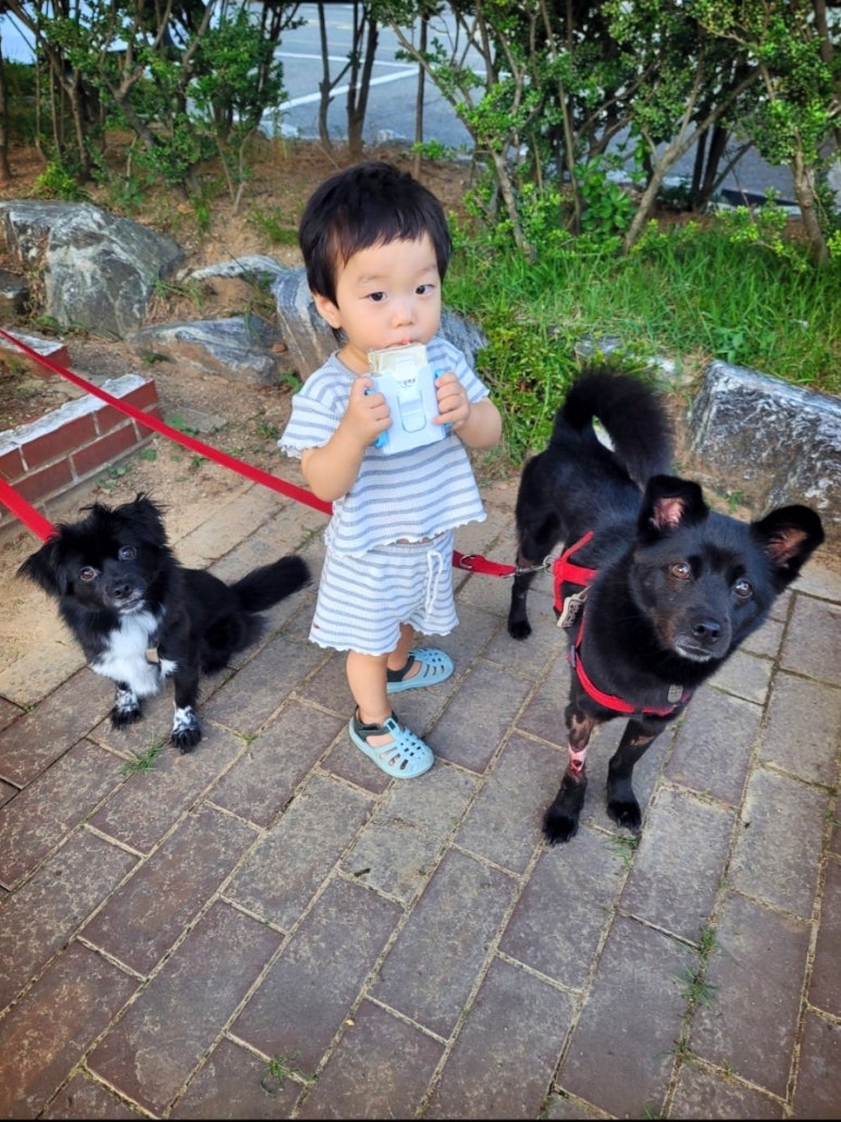 굴화초등학교 이미지
