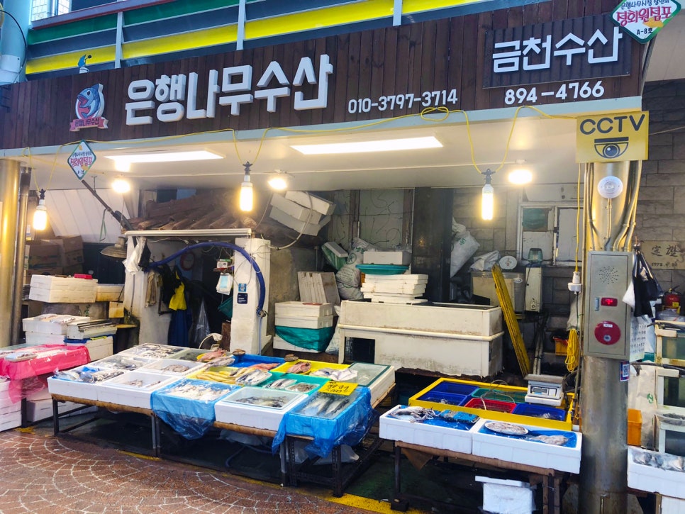 은행나무수산 이미지