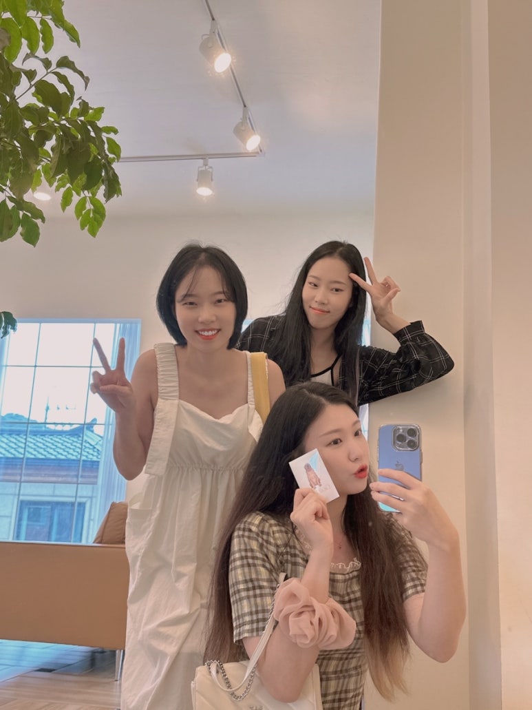 골디스 이미지