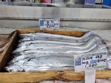 코코애월 이미지