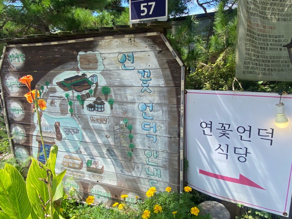 두물머리약초 이미지