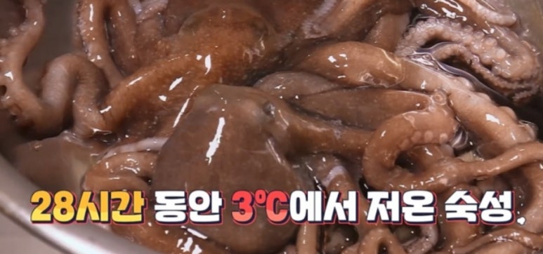 생생낙지 이미지