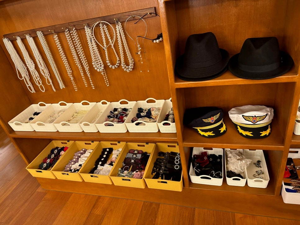 파리의상실 이미지