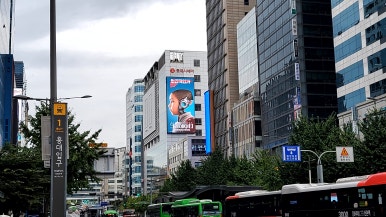 피카소광고 이미지