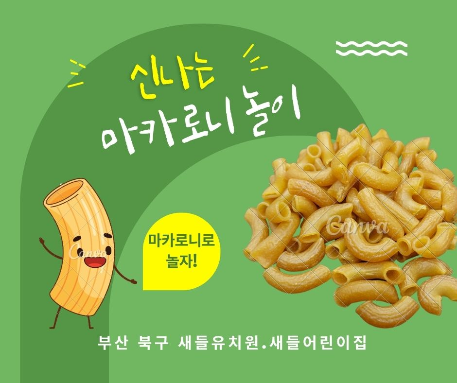 새들유치원 이미지