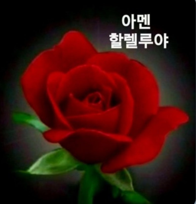 브니엘네이처(주) 이미지