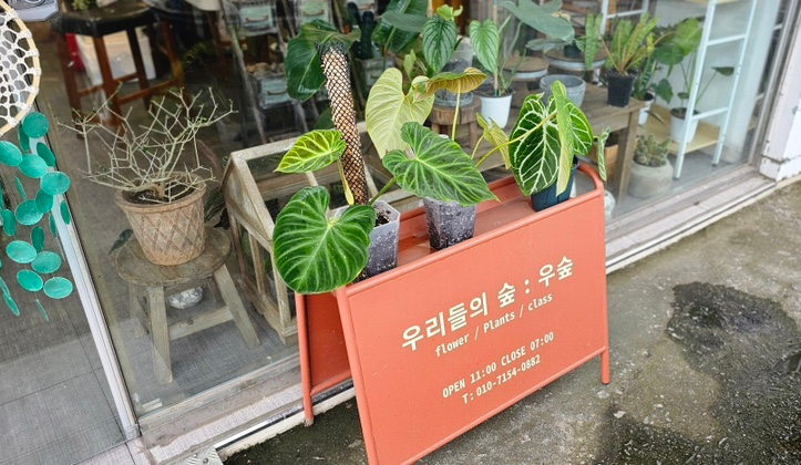 우숲 이미지