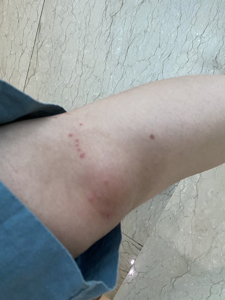 라라피부과의원 이미지