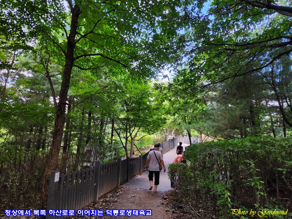 동창원농협하나로마트 이미지