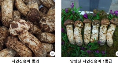 우림수산 이미지