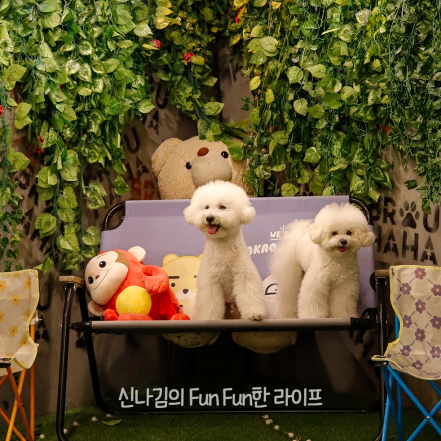카페브루하하 이미지