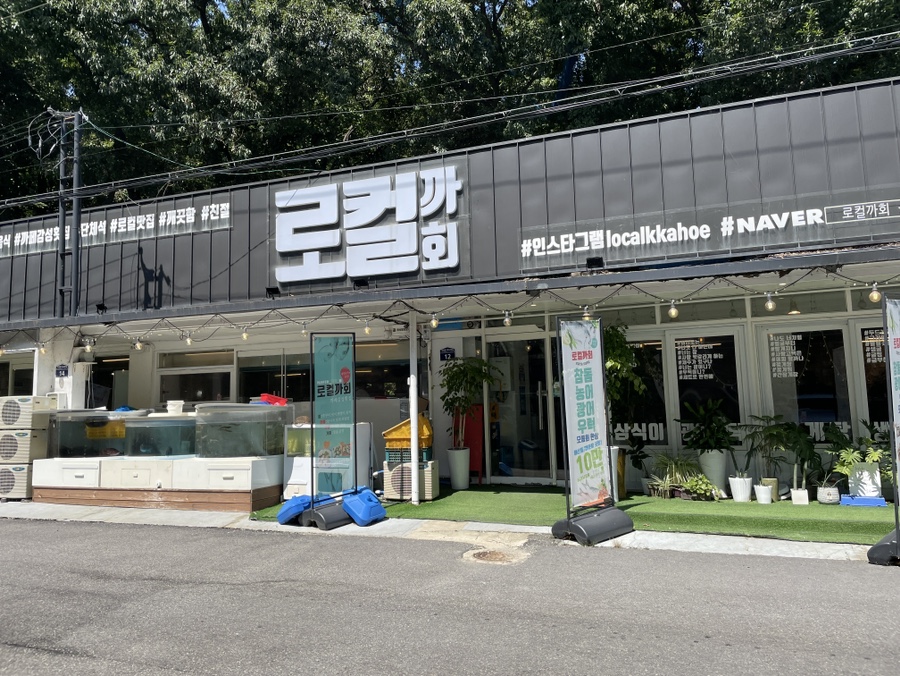 로컬까회 이미지
