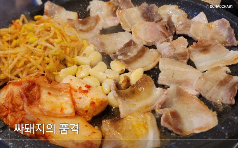 싸돼지의품격 이미지