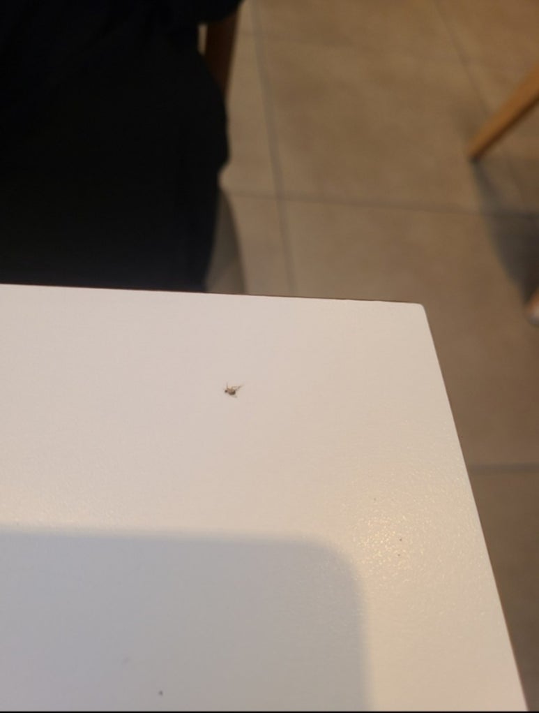 이디야기흥 이미지