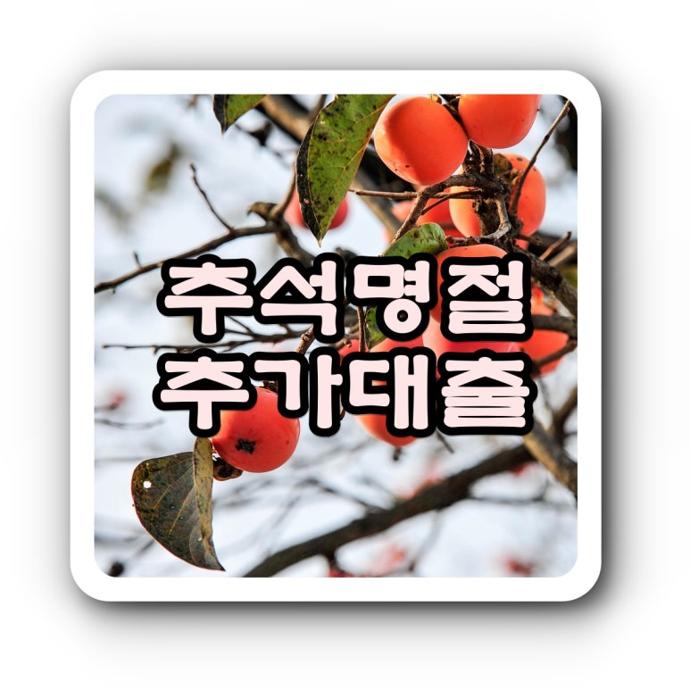 법률사무소정이 이미지