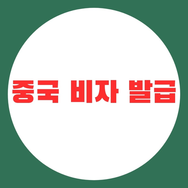 (주)비자항공 이미지