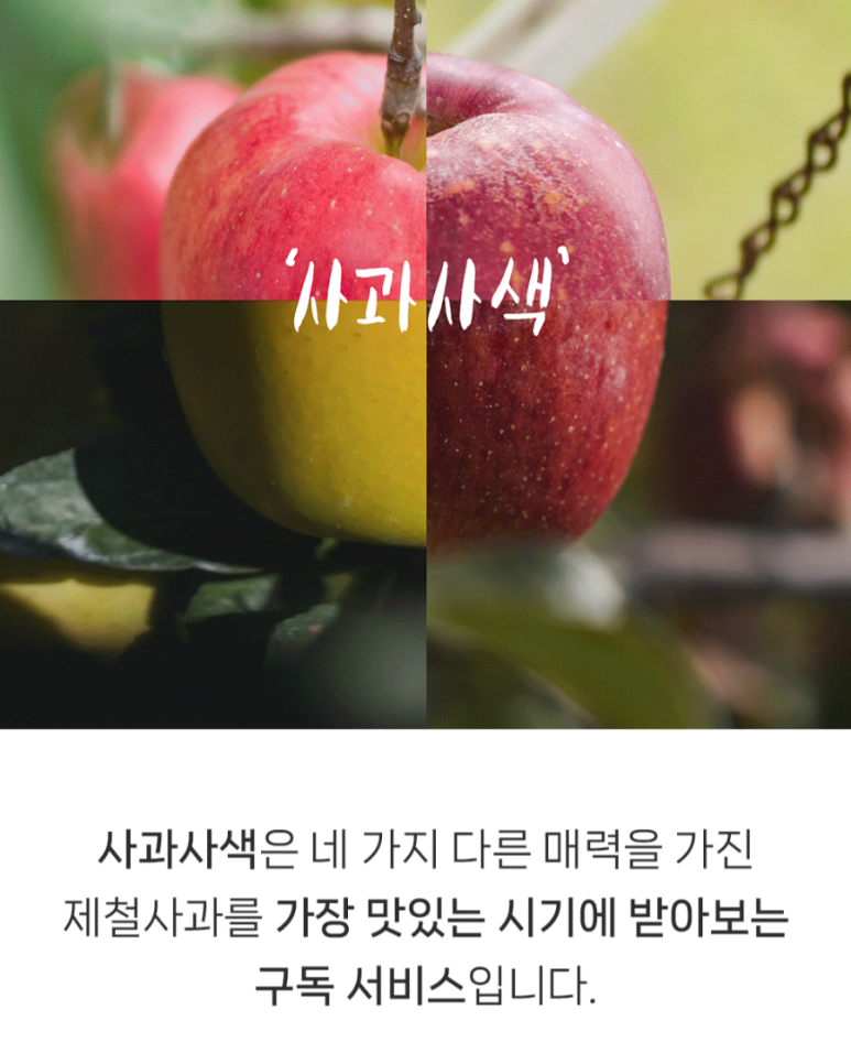 카인드쇼핑몰 이미지
