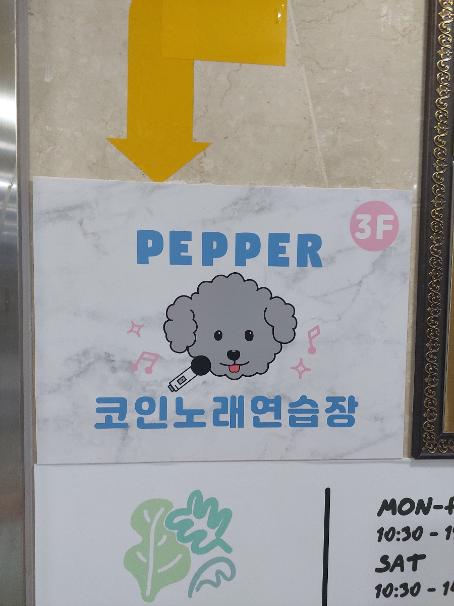 오렌지코인노래연습장 이미지