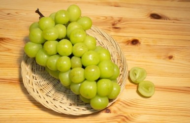 해돋이청과 이미지