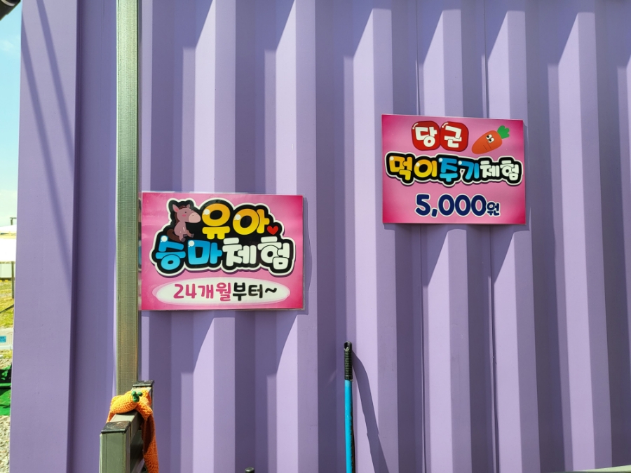 초원승마클럽 이미지