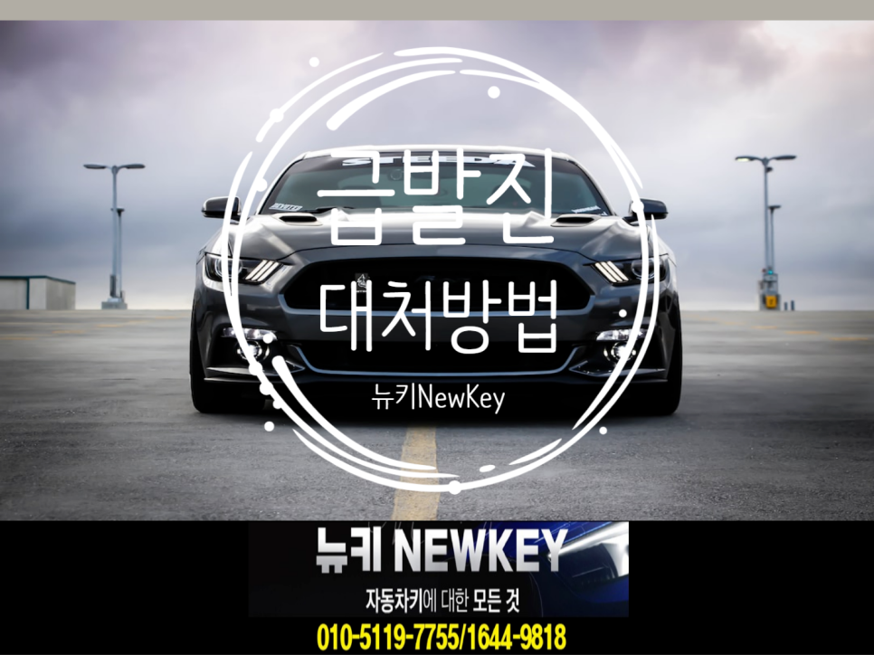 뉴키(주) 이미지