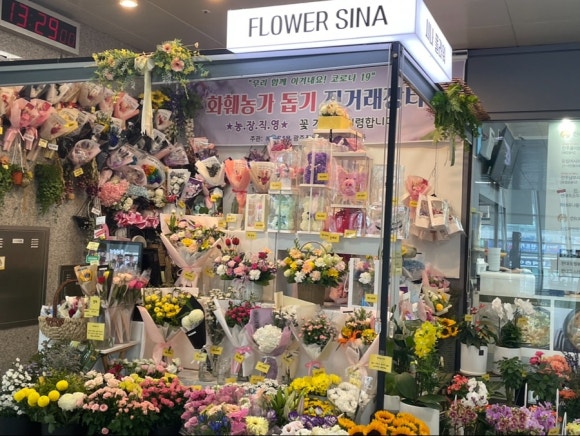 시나플라워 이미지