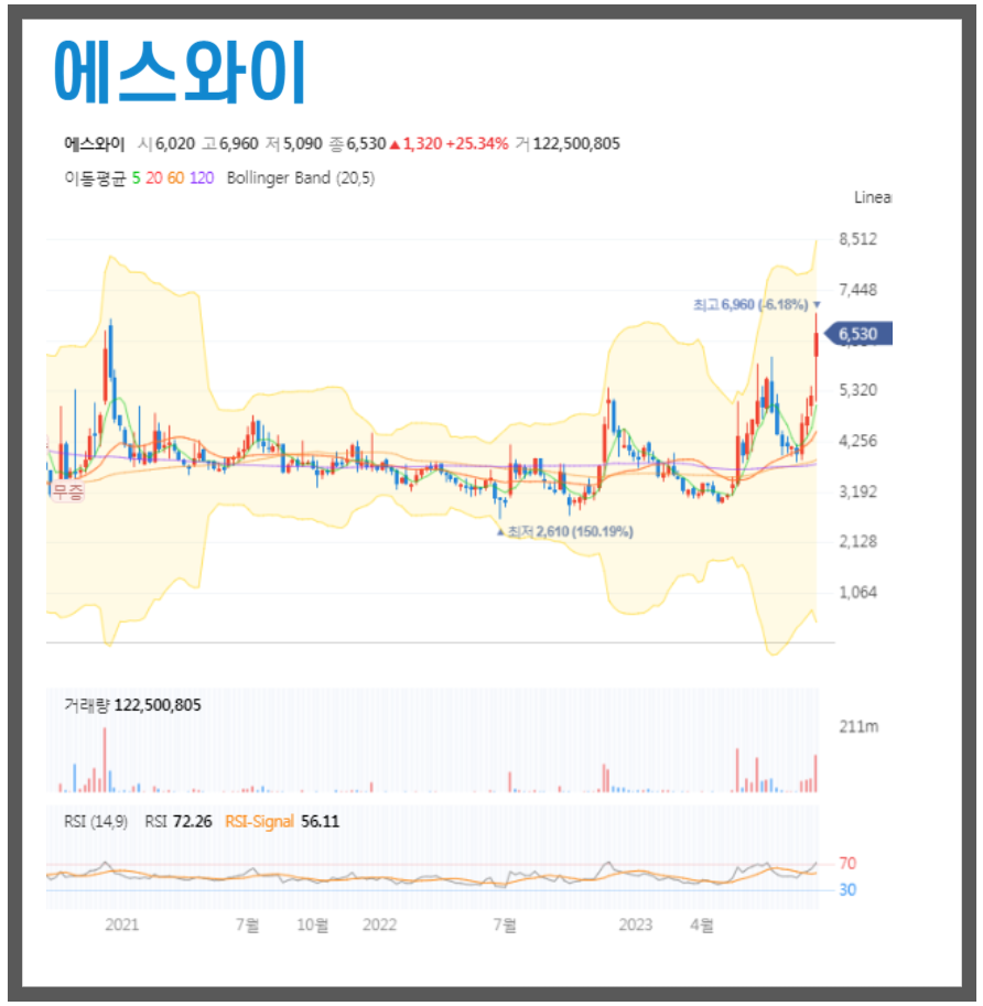 에스와이이엔지 이미지