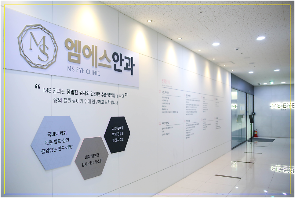 엠에스안과 이미지