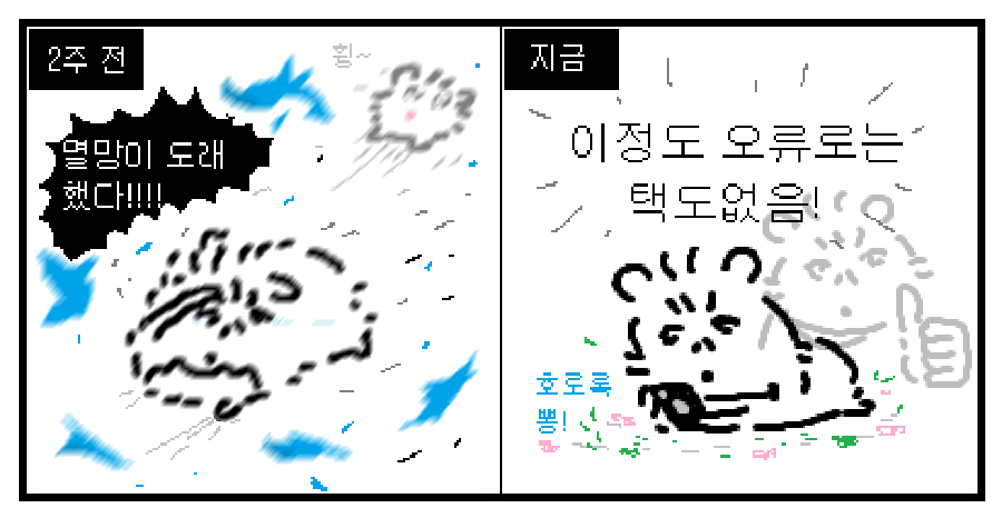 맷집 이미지
