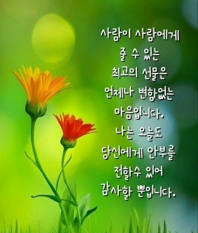 이수헤어 이미지