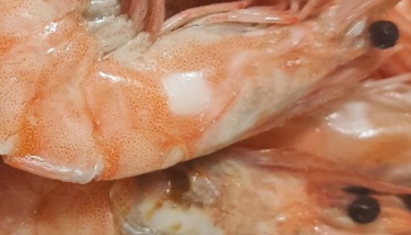 우림수산 이미지
